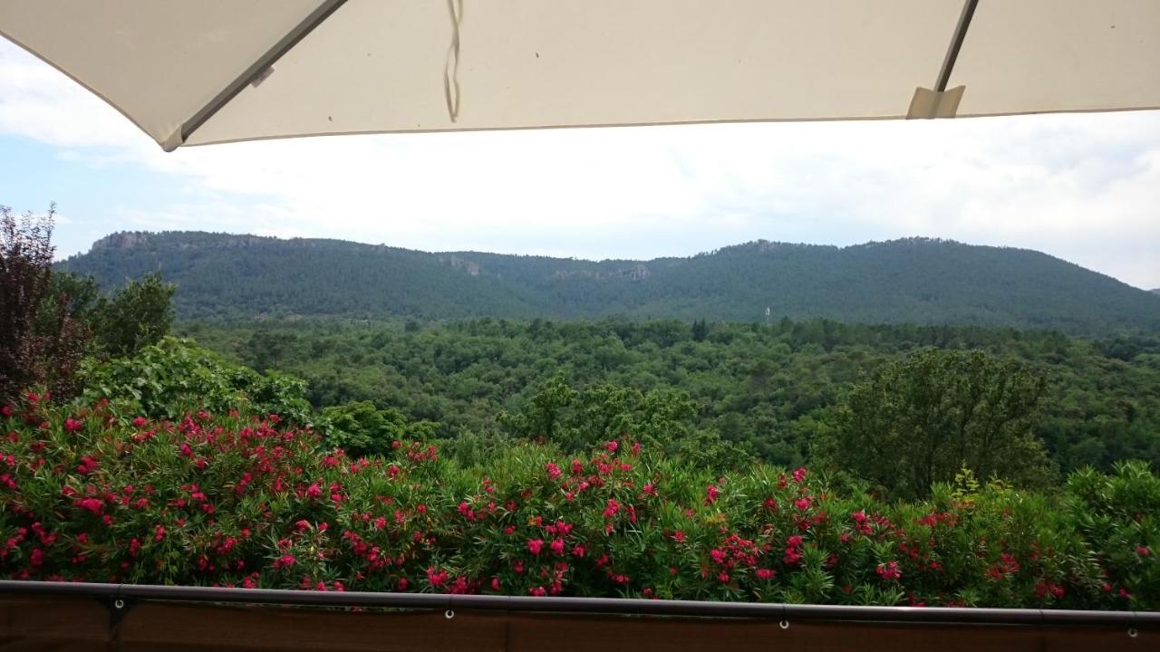 Au Relais Provencal Hotel Bagnols-en-Foret Luaran gambar