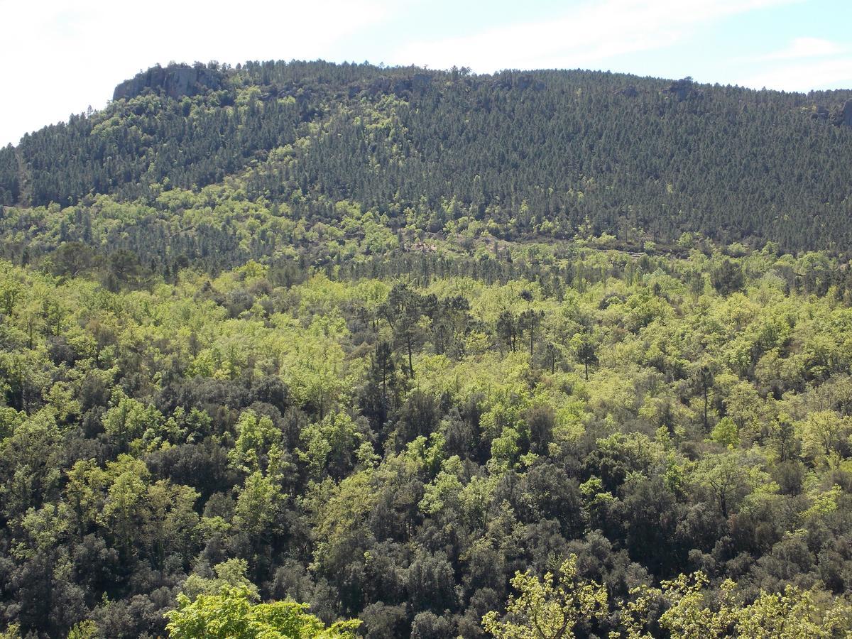 Au Relais Provencal Hotel Bagnols-en-Foret Luaran gambar